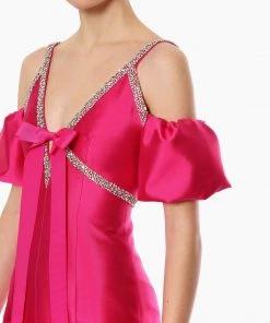 Huishan Zhang *PRE ORDER* RENA DRESS RASPBERRY TAFFETA